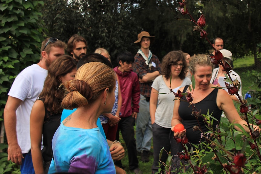 A woman leads a group of people to look at a plant. 