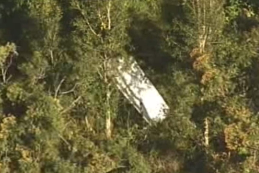 A white piece of wreckage in trees