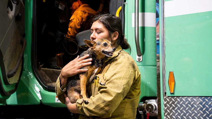 A female firefighter is pictured hugging a smiling dog in front of a green firetruck. 
