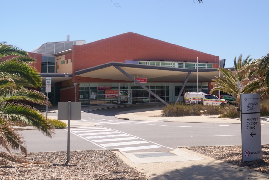 A hospital building framed by gum tree in the foreground.