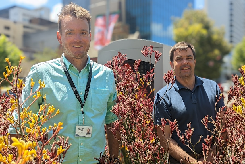 Two smiling men standing amongst native Australian flowers.