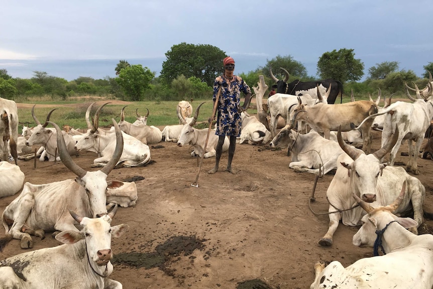 A man stands on a patch of dirt surrounded by cattle in a rural area of South Sudan.