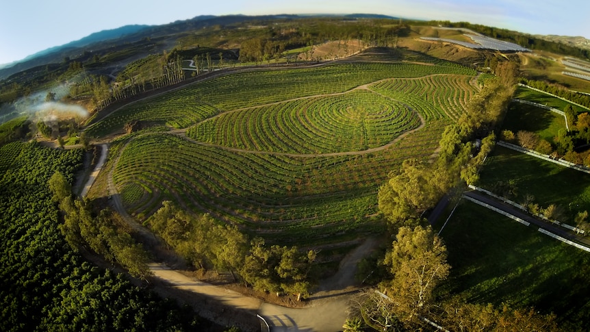 The biodynamic and organic farm in southern California wasn't always so green.