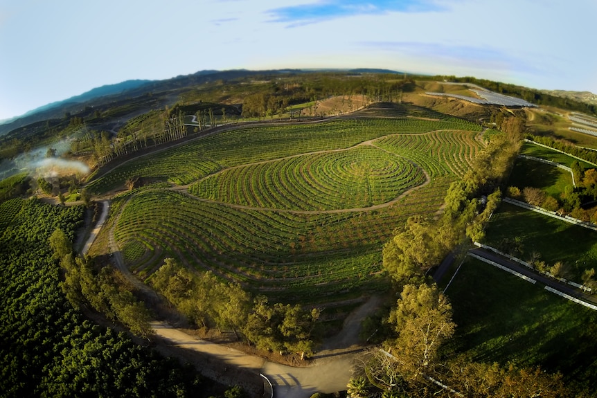 The biodynamic and organic farm in southern California wasn't always so green.