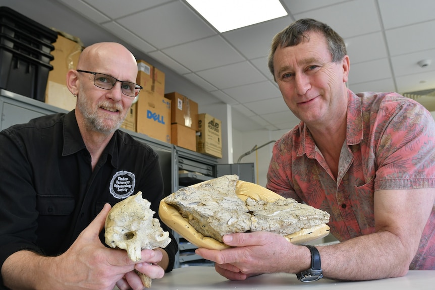 Two men hold pieces of animal skull while sitting at a table in a lab.