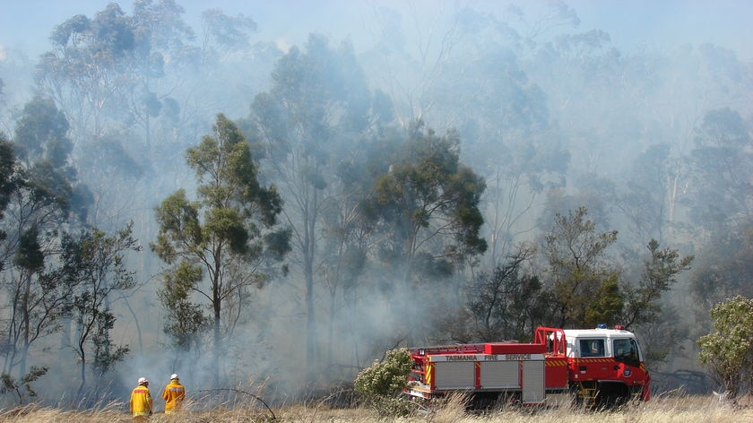 Tasmania Fire Service crew survey a bushfire in January 2008