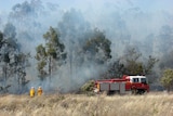 Tasmania Fire Service crew survey a bushfire in January 2008