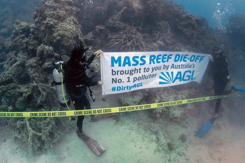 Scuba divers with a sign that says "Mass reef die-off brought to you by Australia's No. 1 polluter, AGL #DirtyAGL"