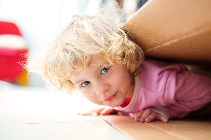 A child under a cardboard box