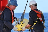 The towed pinger locator is deployed off the deck of Australian Defence Vessel Ocean Shield.