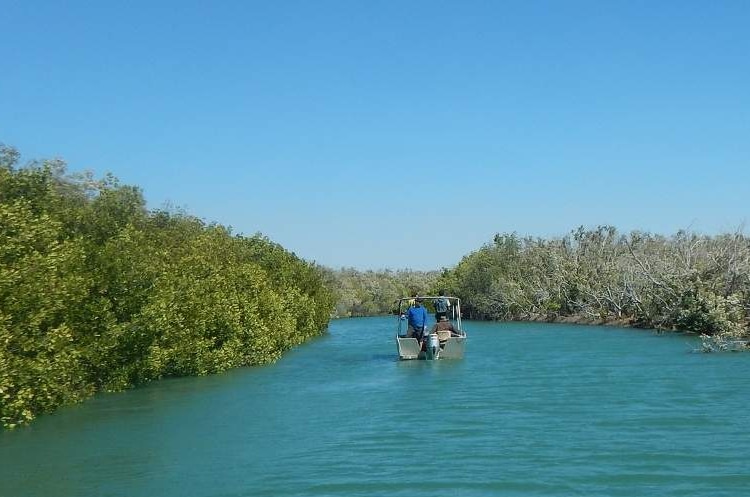 A boat with Marra traditional owners is seen on an estuary in the Limmen Bight lined by mangroves.