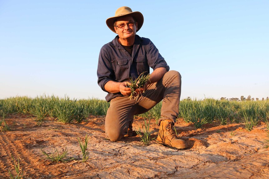A smiling, bespectacled man in a broad-brimmed cap kneels down in a paddock.