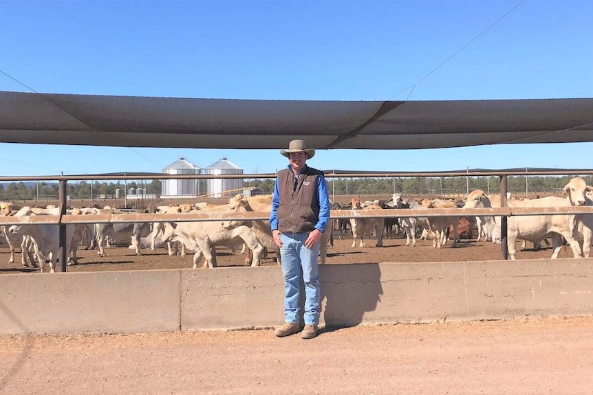 A man in stockman's garb stands in front of a feedlot with cattle in it.