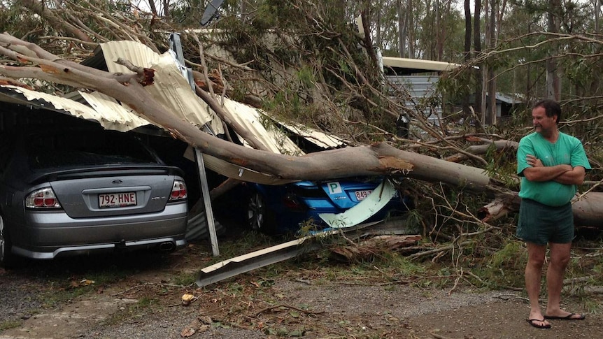 Jim Holman surveys storm damage at his property in Greenbank, south of Brisbane.