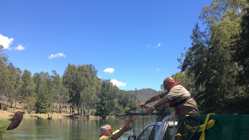 A man passes a net of fish to another man who is standing on the back of a ute with a tank on it