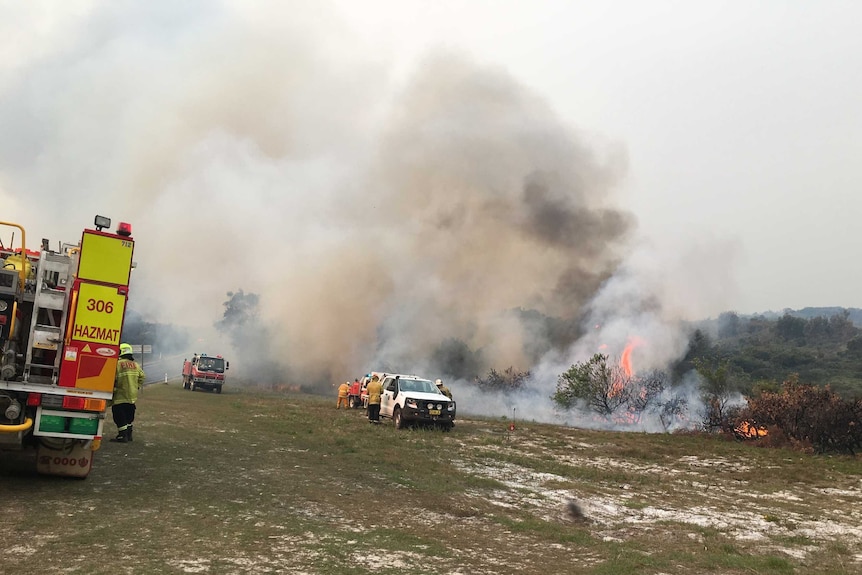 Firefighters working with a backburning operation.