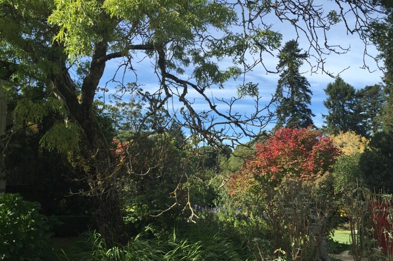 Duneira Estate Garden, Mt Macedon, Vic