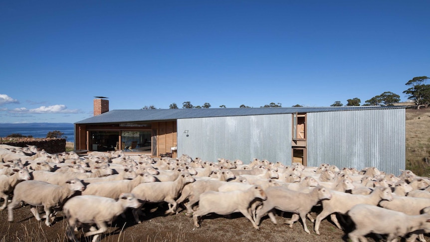 Picture of the Shearers Quarters on Bruny Island