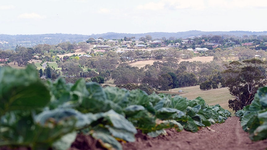 Housing encroaches on farming property in SA