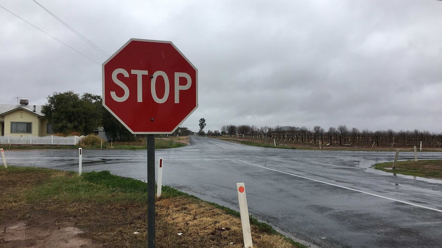 a stop sign ahead of a cross-intersection with a house and vines in the background