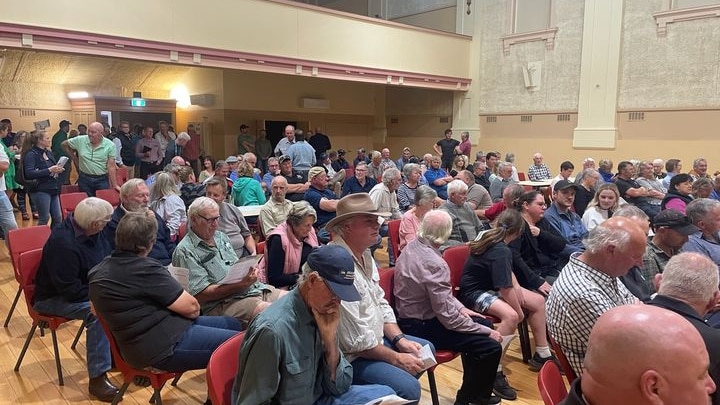 A group of people sit idle in a town hall 