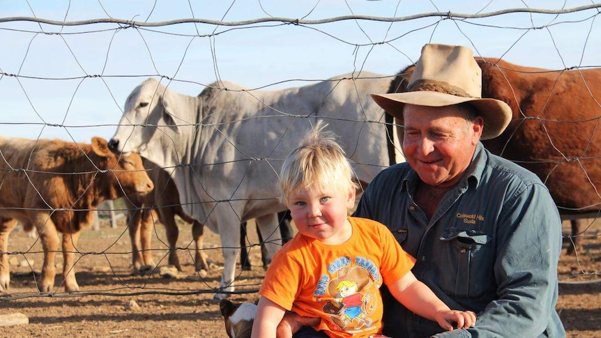 A man in an Akubra hat sits on the dirt with his toddler grandson with cattle behind them