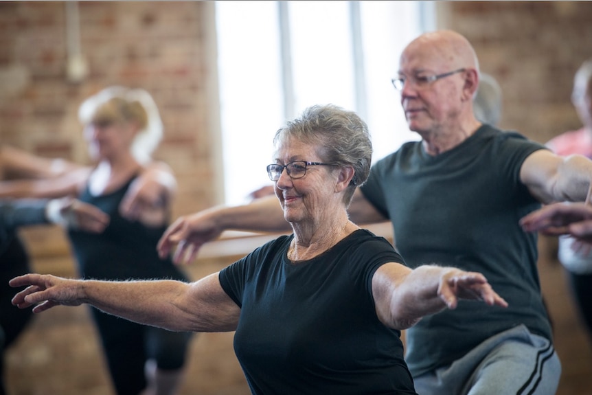 seniors ballet project