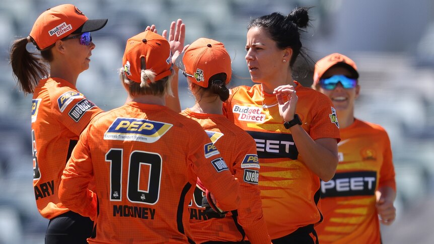 A bowler high-fives her teammates after taking a wicket in the WBBL.