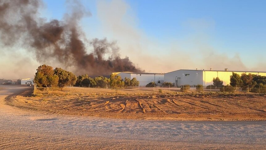 Smoke billows from behind the factory where almonds are processed