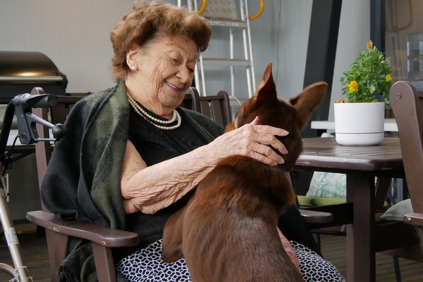 Merle, an older woman, sitting in a chair with her hand resting on a dogs back, dog has both paws on woman.