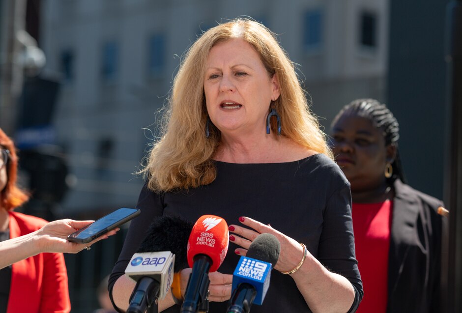 Helen Matthews of Women's Legal Service Victoria speaks at a press conference.