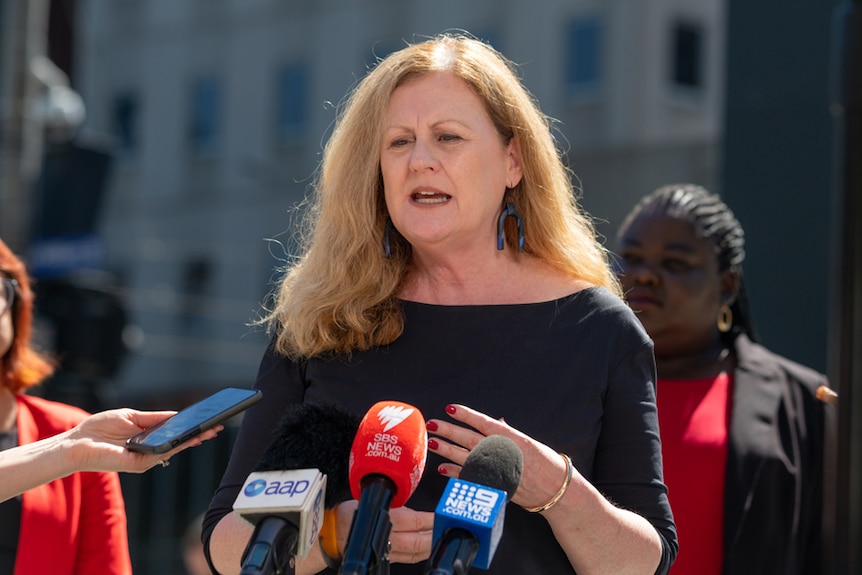 Helen Matthews of Women's Legal Service Victoria speaks at a press conference.