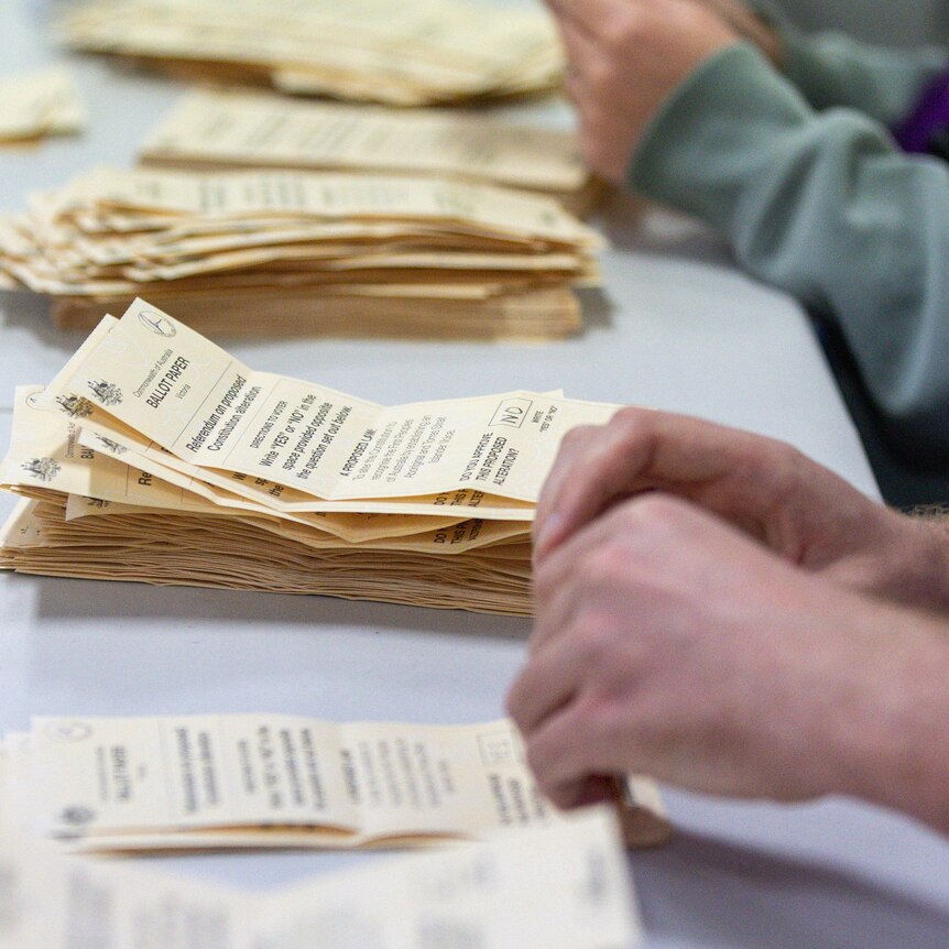 stacked ballot papers for the Voice Referendum, with hands sorting them