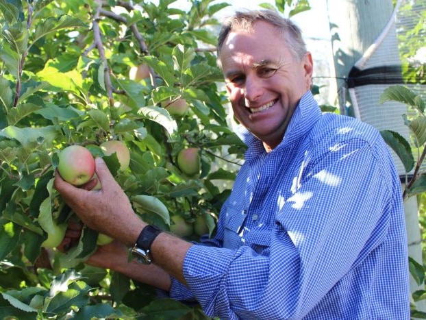 Batlow apple grower Barney Hyams smiling while picking an apple in an orchard.