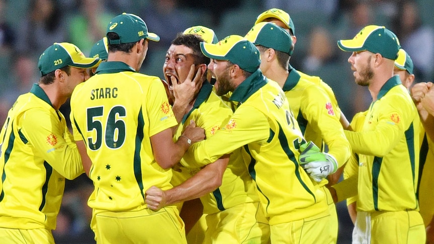Marcus Stoinis celebrates wicket against South Africa in Adelaide