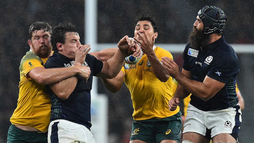 The ball bounces off Nick Phipps against Scotland