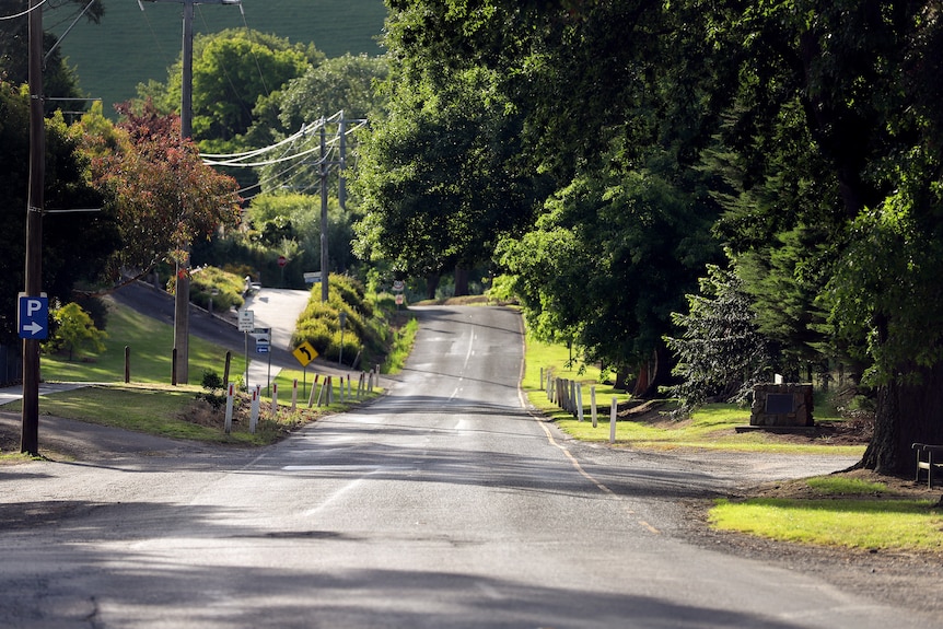 A country road with greeen trees and lawn on either side of a asphalt road