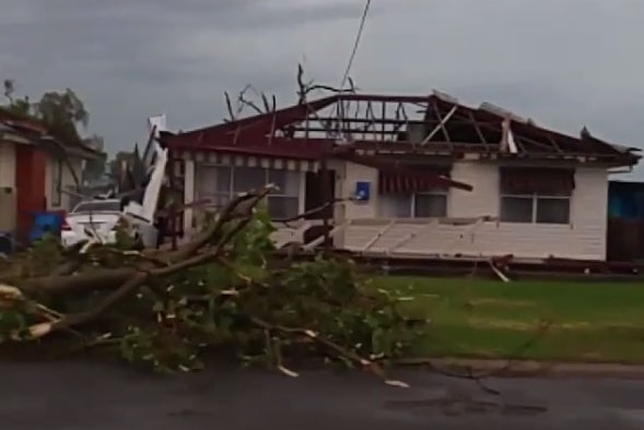 Fallen trees and a destroyed house