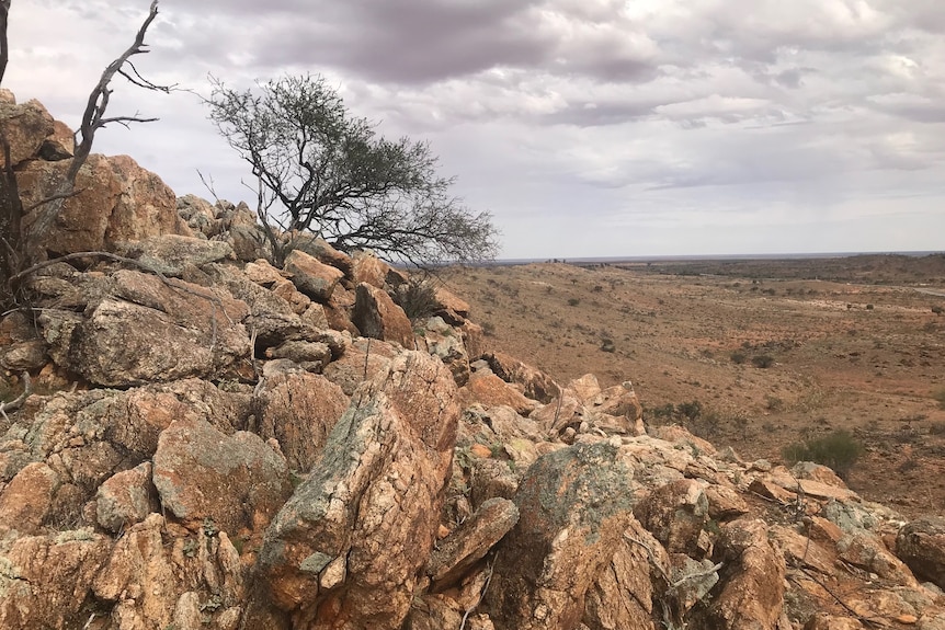 Rocas en una futura mina de cobalto cerca de Dubbo.