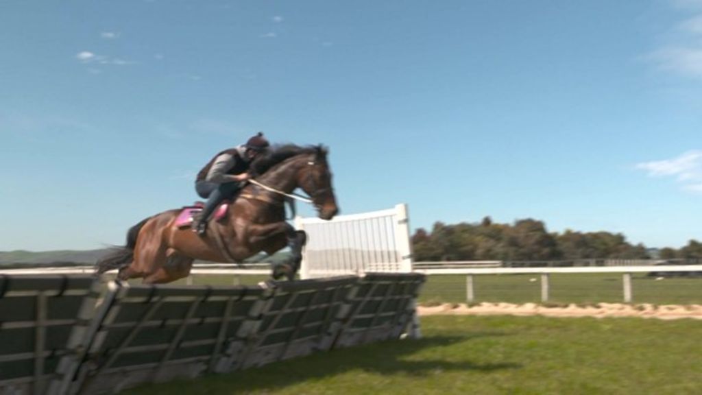 Bay 3984 Location ABC News