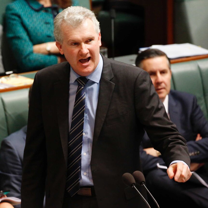 Opposition MP Tony Burke speaks in Parliament.