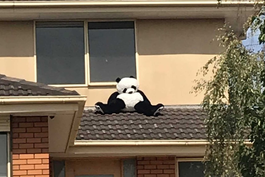 A giant panda teddy bears sits on a roof outside a window of a house on a sunny day.