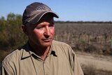 Paul D'Ettore stands in dead grape crop in Menindee, NSW