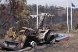 Bushfire devastation: Experts say arsonists enjoy the thrill of wreaking such havoc.