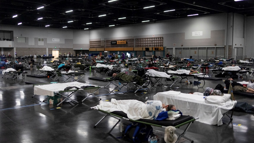 A large convention centre or gym hall where dozens of people sleep on stretcher beds. 