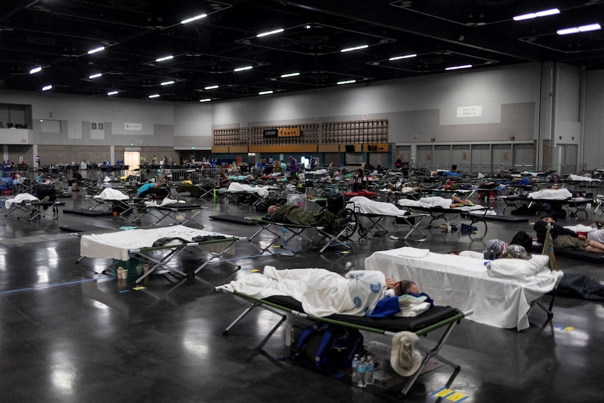 A large convention centre or gym hall where dozens of people sleep on stretcher beds. 