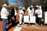 A mid range shot of a group of beekeepers around some hives.