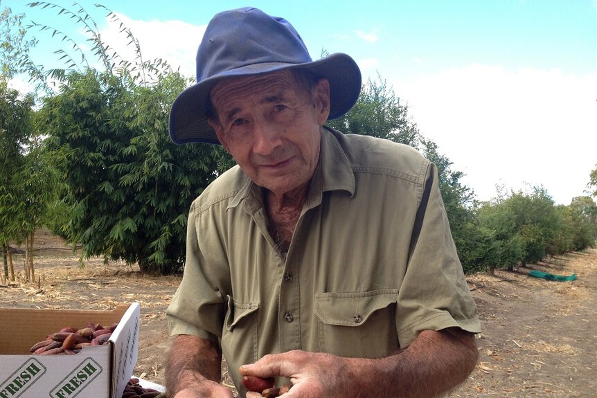 Finger lime farmer, John Whyte