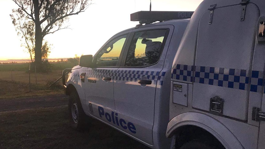 A police vehicle in a paddock with a tree in the distance
