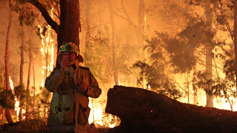 Firefighters battle to save Northcliffe from flames